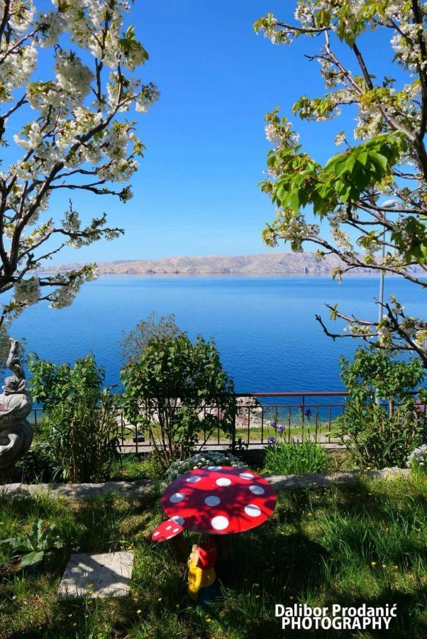 Apartments Nono سينج المظهر الخارجي الصورة